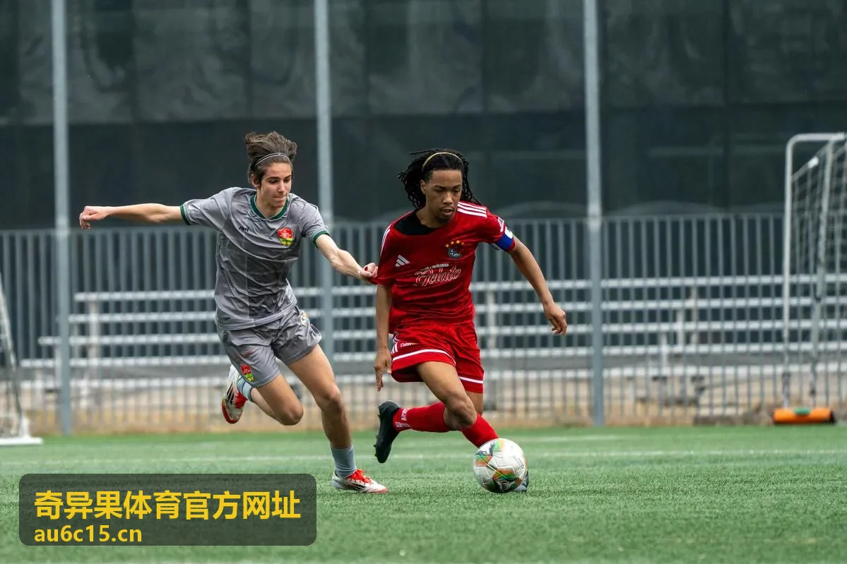 奇异果体育官方网址赛事数据服务查询界面